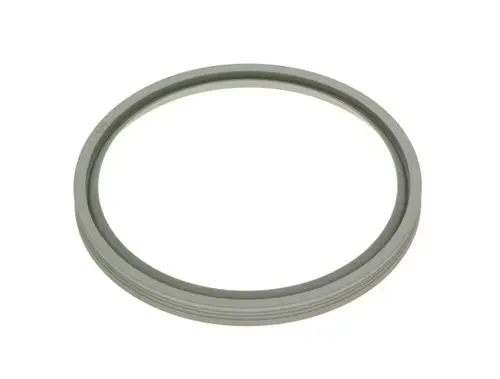 BOSCH-Lippendichtung-DN125-Centrotherm-everp-63037866 gallery number 1